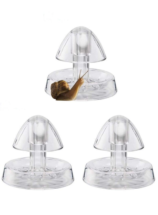 Besimple 3Pcs Transparent Snail Trap, Plastic Aquarium Snail Catcher with Fishing Line for Aquarium Fish Tank - Image 1